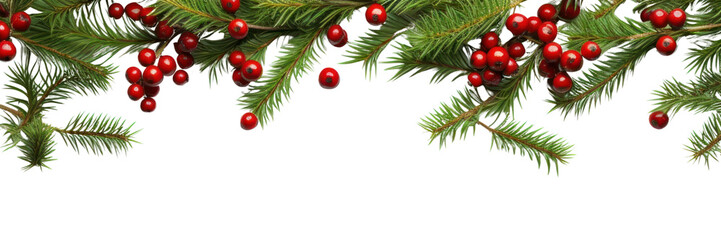 PNG Backgrounds christmas branch spruce.