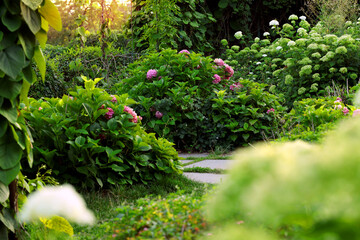 spring floral garden environment space nature landscaped design of plant and bush April blossom season time