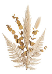 Meticulously composed minimalist still life of sepia-toned preserved eucalyptus, pampas grass, and fern fronds on a transparent background with copy space, soft studio light, concept of ephemeral