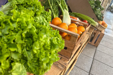 greengrocer with fresh organic oranges, grapefruit,  and lettuce in wooden basket  at the street market 
