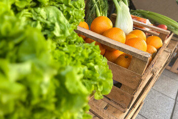 greengrocer with fresh organic oranges, grapefruit,  and lettuce in wooden basket  at the street market 
