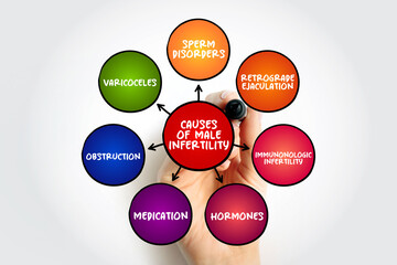 Causes of male infertility mind map text concept for presentations and reports