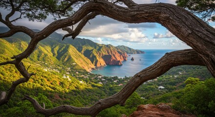 Obraz premium Heart shaped tree branches frame dramatic coastal cliffs and ocean view