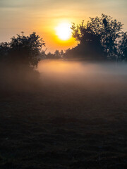 The Golden Embrace of Dawn