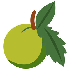 Gooseberry fruit illustration with green leaves, isolated on white background, healthy seasonal organic berries rich in vitamins.