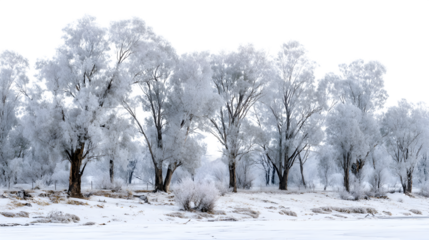 Snowy river valley with trees covered in frost