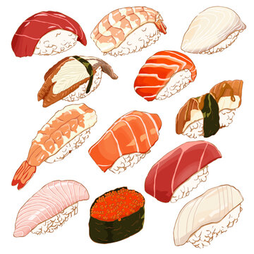 sushi set vector illustration