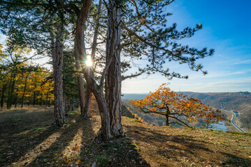 Autumn View from Forest Cliff – Zvolská Homole 