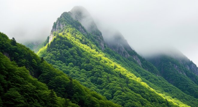 Lush Green Mountain Landscape with Misty Clouds and Dense Forests - Powered by Adobe