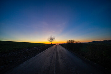 Country Road at Sunset with Trees on Horizon 