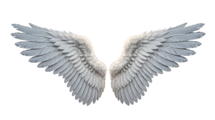 Pair of majestic white angel wings with soft feathers spread wide open symbolizing purity and divine presence isolated on transparent background