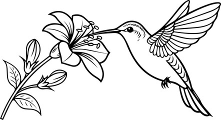 Hummingbird Feeding on a Flower - Detailed Line Art