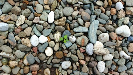 background of stones