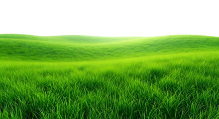 Emerald Field of Tranquility: A lush, emerald green field stretches across rolling hills, offering a serene and calming vista. Capturing nature's simplicity and beauty