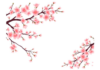 An Elegant and Serene New Transparent Background Vector of a Beautiful Sakura Flowers Branch, Ideal for Wedding Stationery and Other Special Occasions.
