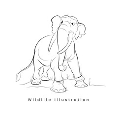 Wildlife illustration.eps