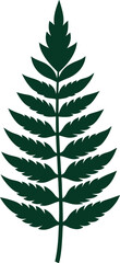 Obraz premium botanical fern leaf silhouette clipart on transparent background