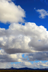 Landscape Cloudy Day Sonoran Desert Arizona