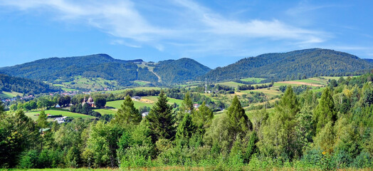 Mountains summer scenery. Panorama of grassland and forest in Beskid Sadecki mountains, Muszyna, Poland