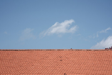 Minimalist view of a red clay tile roof with a small bird perched on top, set against a vast blue sky with a single soft white cloud.