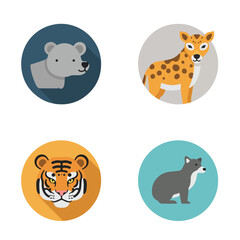 Fototapeta premium Wild Animals Posed with Round Backgrounds of Different Colors in Studio