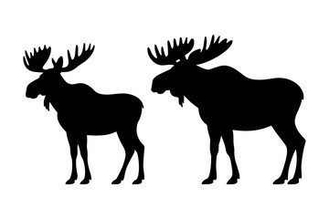 Silhouette of moose, showcasing majestic antlers 