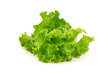Lettuce Salad leaves, isolated on white background.