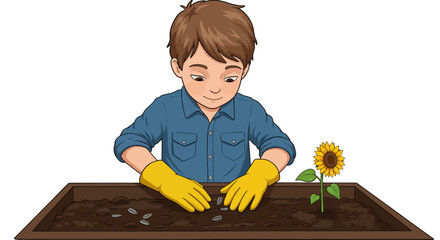 Cartoon Boy Planting Sunflower Seeds in Soil with Yellow Gloves