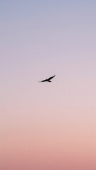 Obraz premium Minimalist pastel bird silhouette flying across pale morning sky