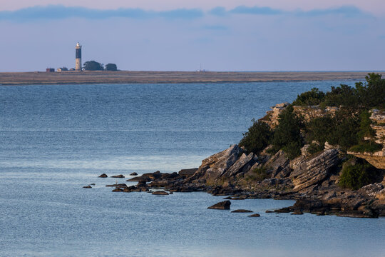 Rocky coastline with trees in the foreground and distant lighthouse on horizon across the calm blue sea