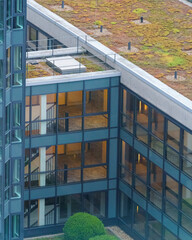 building in the city at mornin g time