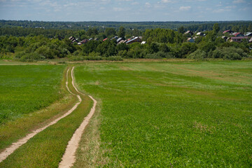 Obraz premium dirt road in a field with grain crops leading to the village
