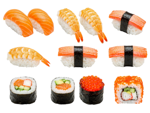 Assortment of delicious sushi and sashimi dishes arranged artfully in rows transparent background