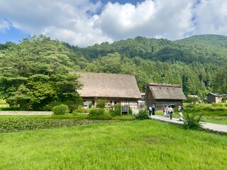 Traditional Japanese Thatched Roof Houses in Scenic Green Landscape