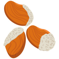 durian seeds vector illustration drawing.