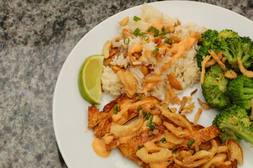 Closeup of Prepared Dish with Broccoli, Rice, and Marinated Sliced Chicken Cutlets