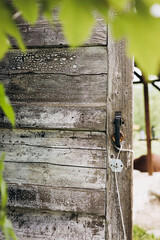 Vintage wooden door framed by blurred green leaves.