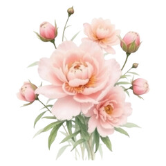 Obraz premium Vector art of a beautiful watercolor painting of a bouquet of delicate pink peonies with buds and green leaves