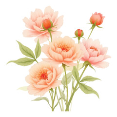 Vector art of a beautiful watercolor painting of a bouquet of delicate peach and pink peonies with green leaves
