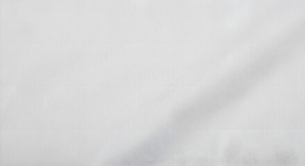 Obraz premium Subtle White Texture A Soft, Smooth Background Image