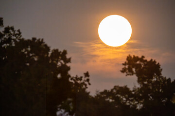 Erdbeermond vom Juni 2025 © Dominik Rueß
