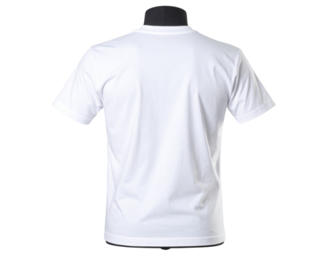 White T-Shirt Back View on Mannequin, Clear Studio Lighting, Isolated