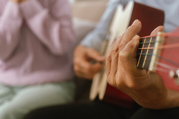 Happy Senior Couple Enjoying Retirement Together Playing Musical Instruments at Home in Bright Sunshine