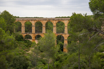 Obraz premium Roman aqueduct of tarragona crossing lush green forest