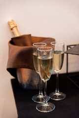 Elegant champagne toast celebration