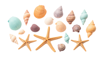 Colorful seashells and starfish arranged artistically, showcasing variety of shapes and textures, evoking sense of coastal beauty and tranquility
