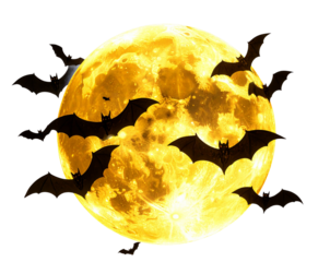 Full Moon with Flying Bats Silhouette, isolated on transparent background