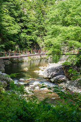 夏の三段峡 広島県安芸太田町
