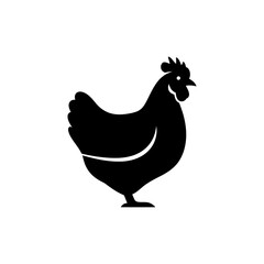 A vector illustration of a farm rooster isolated on a white background with a hen and chick