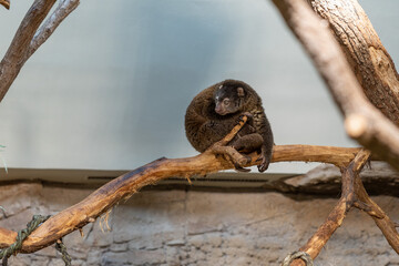 Tierpark Berlin
